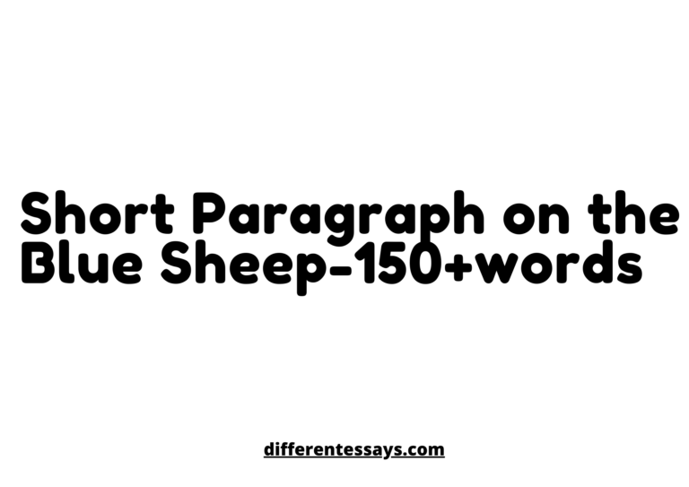 Sheep sentence for class 3 picture